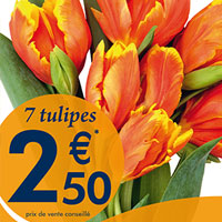 Monceau Fleurs - Affiche magasin